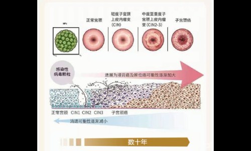 承德颈复康药业集团招聘信息-承德颈复康药业小儿用药网承德颈复康颗粒的功效与主治知识网站,分享承德颈复康药业小儿用药有限公司大全